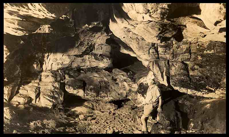 Boomslang The Bats Hall[Moore]